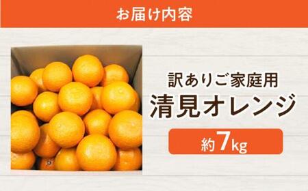 訳あり ご家庭用 清見オレンジ 約7kg【2026-3月中旬~2026-4月上旬配送】