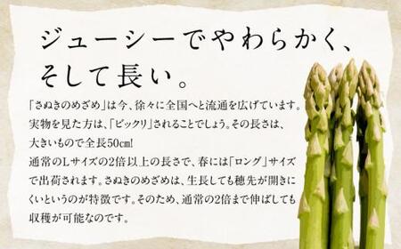 柔らかさと甘みが際立つアスパラガス「さぬきのめざめ(春芽) 約1.3kg【2025-1月下旬～2025-3月下旬配送】