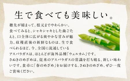 柔らかさと甘みが際立つアスパラガス「さぬきのめざめ(春芽) 約1.3kg【2025-1月下旬～2025-3月下旬配送】