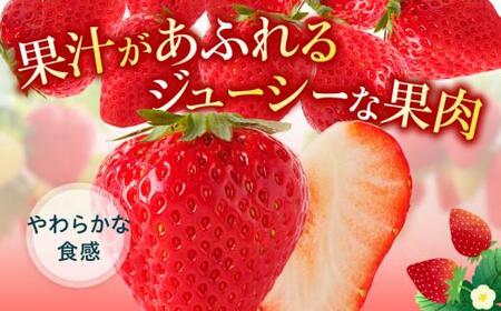 ケーキ用 さぬきひめいちご 4トレー(各約280g)【2024年1月上旬～2024年