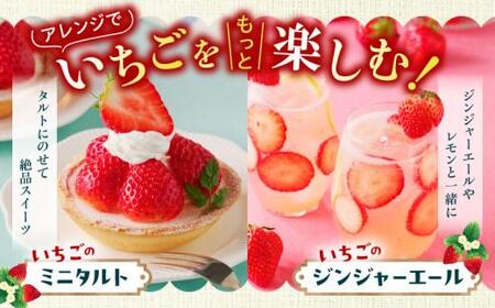 ケーキ用 さぬきひめいちご 4トレー(各約280g)【2024年1月上旬～2024年