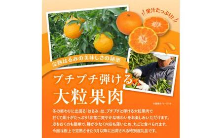 みかん 柑橘類 果物 フルーツ 果汁 完熟 はるみ 約2.5kg【2025年3月上旬～2025年3月下旬配送】【T006-284】