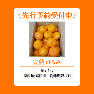 みかん 柑橘類 果物 フルーツ 果汁 完熟 はるみ 約2.5kg【2025年3月上旬～2025年3月下旬配送】【T006-284】