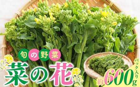 旬の野菜 菜の花 (パック入り) 約600g【2024-12月上旬～2025-3月下旬配送】