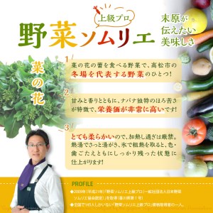 旬の野菜 菜の花 (袋入り) 約2kg【2024年12月上旬～2025年3月下旬配送】【T006-278】
