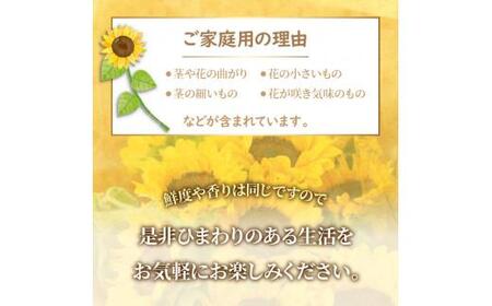 HIMAWARI様ご確認用 すばらしく