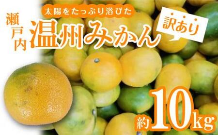 【訳あり】太陽たっぷり浴びた　瀬戸内温州みかん　約10kg【2024年10月上旬～2025年1月中旬配送】【T006-274】