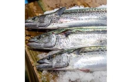 【かがわ県産品コンクール優秀賞受賞】料亭二蝶『讃産さわらの味噌漬け』 1箱(6切入)