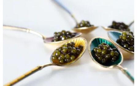 瀬戸内キャビア ベステル 15g