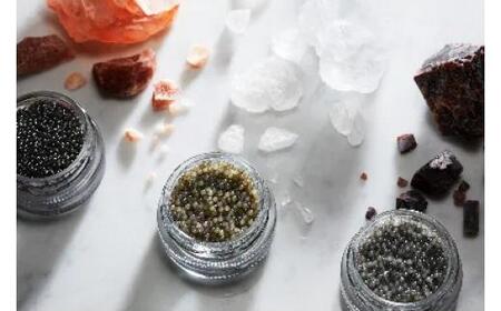 瀬戸内キャビア ベステル 15g