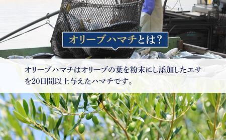 オリーブハマチ1尾 約4kg | 香川県高松市 | ふるさと納税サイト「ふるなび」