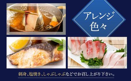 オリーブハマチ 半身 約1kg