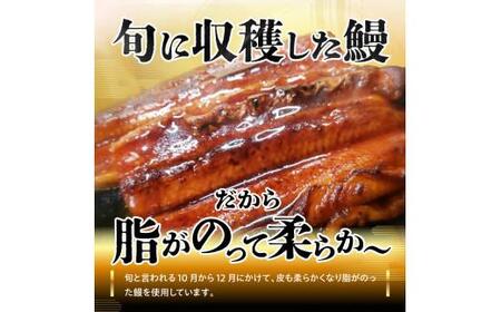 源内うなぎ 蒲焼 鰻 真空パック たれ 冷凍 源内うなぎ（１尾）【T155-001】