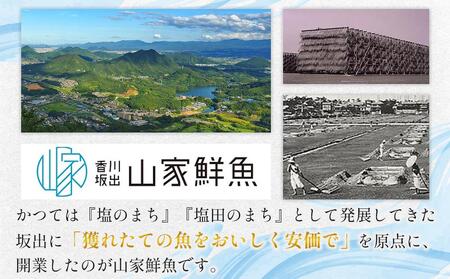 鰆の味噌漬（10切入）