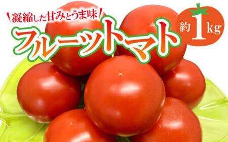 フルーツトマト　約1kg【2024-11月上旬～2025-6月上旬配送】