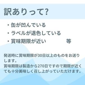 SETOUCHI おまかせ訳ありビール 12缶セット