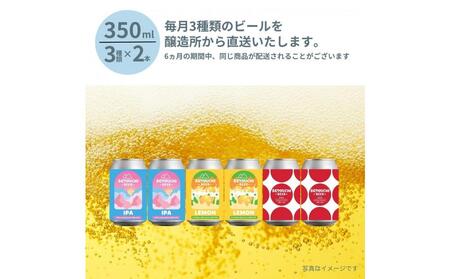 【定期便】クラフトビール定期便 毎月6缶 6ヵ月