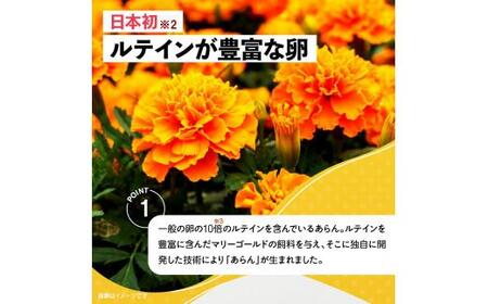 卵 あらん ルテイン 冷蔵 健康 機能性表示食品 光の刺激から目を守る　ルテイン含有卵　機能性表示食品「あらん」　6個入り3パック【T166-001】