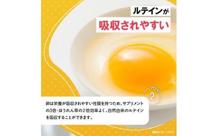 卵 あらん ルテイン 冷蔵 健康 機能性表示食品 光の刺激から目を守る　ルテイン含有卵　機能性表示食品「あらん」　6個入り3パック【T166-001】