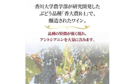 ワイン 赤ワイン ブランドワイン　さぬきワイナリー　ソヴァジョーヌ・サヴルーズ【T089-008】
