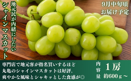 フルーツ 定期便 3回　旬に出逢う城下町の果実 定期配送 いちご 桃 シャインマスカット 果実 果物 ぶどう 