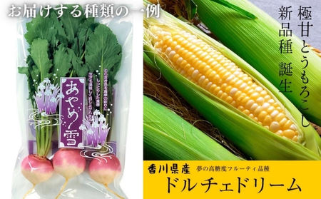 のどかな讃岐平野で育てた 旬の野菜 詰め合わせセット 今が旬 健康 野菜ボックス ヘルシー食材 トマト サツマイモ 新鮮 とれたて 季節 自家栽培 珍しい 美味しい たっぷり 