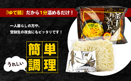 讃岐うどん 釜玉カレーうどん 24食