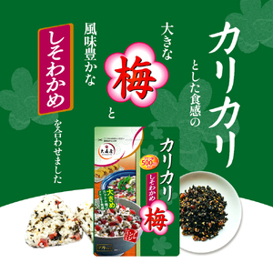 大森屋 カリカリ梅しそわかめ40g×10セット 