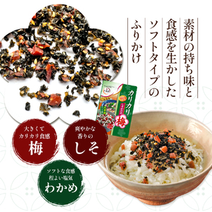 大森屋 カリカリ梅しそわかめ40g×10セット 