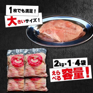 鶏肉 国産 むね肉 6kg 冷蔵 鶏肉鶏肉鶏肉鶏肉