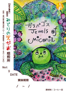 50度お湯洗い焙煎豆　ガラパゴス Jewels of Miconia
