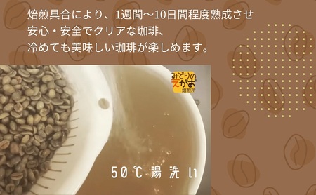 50度お湯洗い焙煎豆　ボリビア珈琲 中深煎り