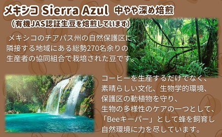 50度お湯洗い焙煎豆　メキシコ Sierra Azul 中やや深め焙煎