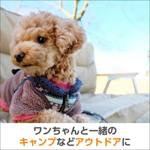 ミャオワンSpot 耳掃除用ウェット 10枚入(80個)