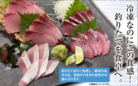 鯛 ハマチ 刺身セット ﾊﾏﾁﾊﾏﾁﾊﾏﾁﾊﾏﾁ 鯛鯛鯛鯛