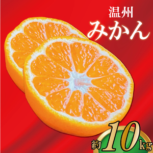 極撰 温州みかん 約10kg 【2026年11月上旬より順次発送】