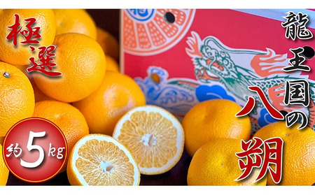 【2026年3月中旬より順次発送】【極選】龍王国の八朔 約5kg  はっさく はっさく はっさく はっさく