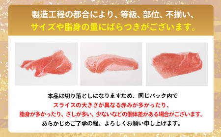 豚肉 切り落とし 2.5kg 冷凍豚肉