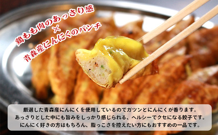 冷凍餃子 にんにくあり 30個 餃子