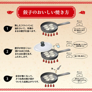 冷凍餃子 にんにくあり 30個 餃子