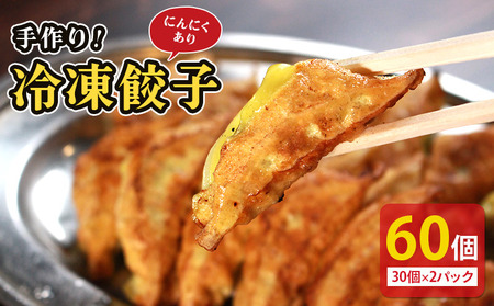 冷凍餃子 にんにくあり 60個 餃子