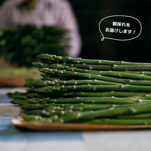 【2026年先行予約】 グリーンアスパラガス さぬきのめざめ 1kg アスパラ