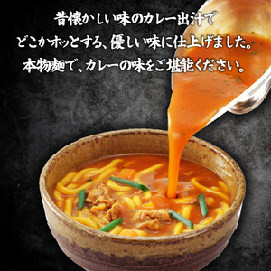 讃岐うどん カレーうどん 6人前 スープ付