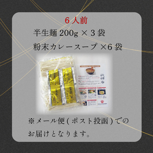 讃岐うどん カレーうどん 6人前 スープ付