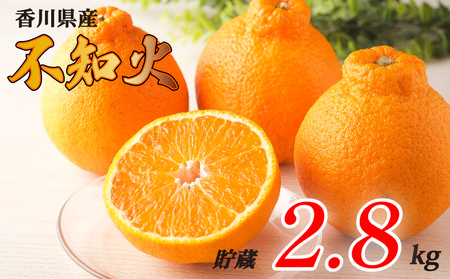 先行予約 不知火 約2.8kg フルーツ 果物 不知火 みかん みかん 【goshiki035】