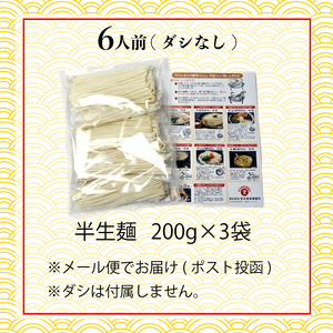 讃岐うどん 半生 6人前 ダシなし さぬきうどん