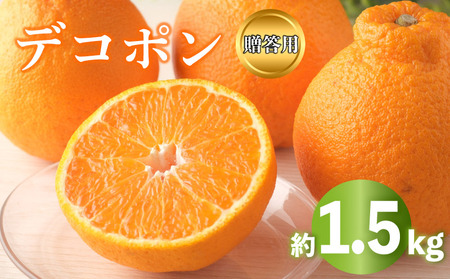 デコポン 不知火 約1.5kg 2026年 先行予約  秀品 デコポン 6,300円
