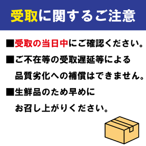 いちご 苺 紅ほっぺ 1kg 2月配送 苺