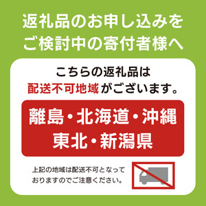いちご 苺 紅ほっぺ 500g 3月配送 いちご