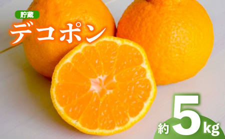 2026年 先行予約 デコポン 約5kg 不知火 デコポン